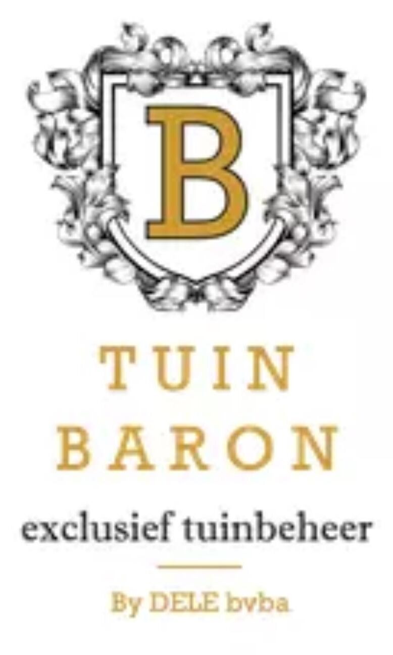 afbeelding van whatsapp op 2025 12 11 om 19.35.53 6a1a6d25